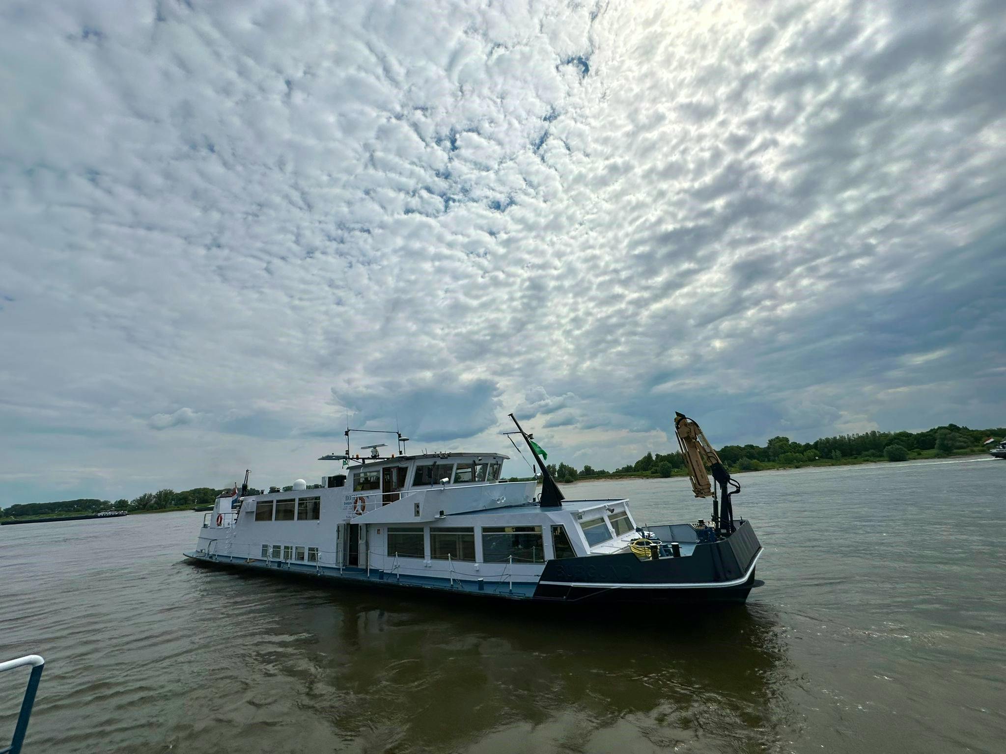 Romi — thumbnail 3